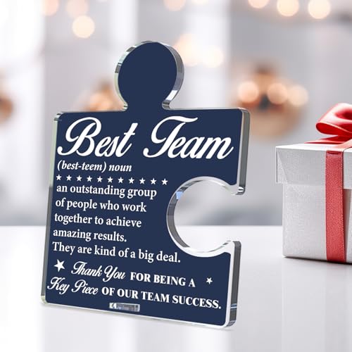 Team Appreciation Acrylic Puzzle Sign - Office Desk Decor - Variation T
