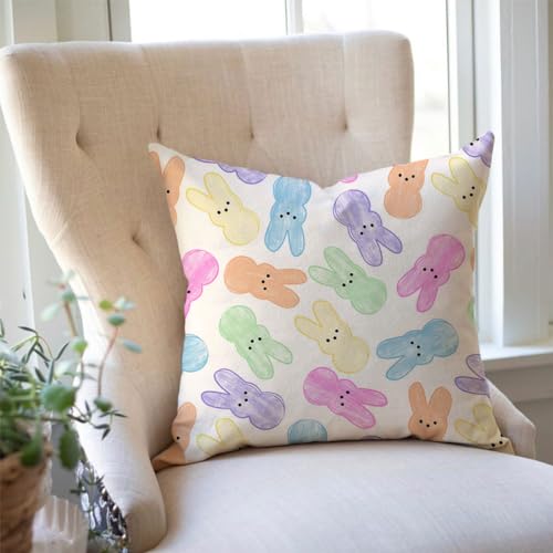 PANDICORN Easter Pillow Covers Set of 2, 18x18 Inch Pastel Peeps