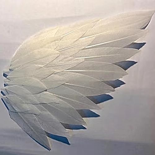 Natural Pink Goose Feathers 50 Pcs 2-3 Inch Craft Feathers for DIY Wedding Party Decor