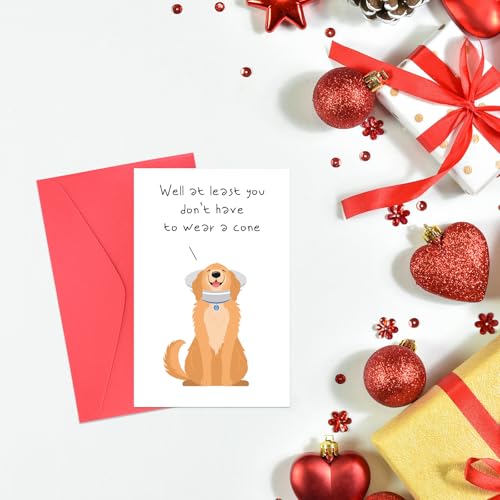 Funny Get Well Card with Envelope - Golden Retriever Design