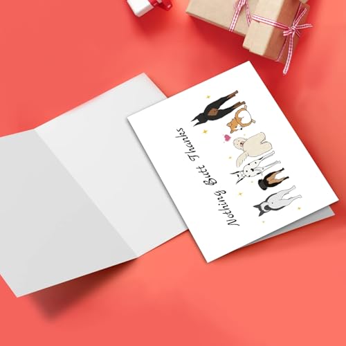 Funny Dog Butts Thank You Card for Veterinarians & Groomers