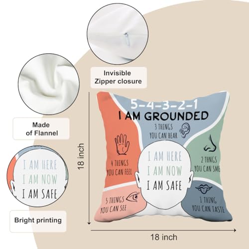 Grounded Throw Pillow Cover 18x18 for Anxiety Relief - ZsaTuiy #5