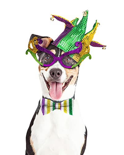 Mardi Gras Wired Edge Ribbon 2.5 Inch x 10 Yards Glitter Stripes