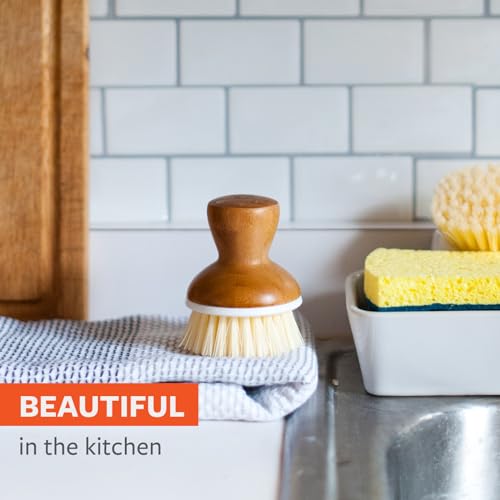 Full Circle Bubbly Palm Dish Brush - Ergonomic & Eco-Friendly