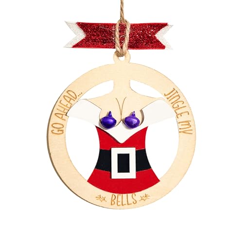 Funny Christmas Ornaments - Humorous Wooden Tree Decor Gifts