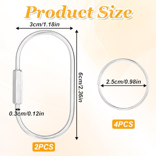 6Pcs Gold Brass Key Rings Screw Lock Key Organizer Metal Carabiner Keychain Clip Making Kit Flat O Split Ring Hooks for Keychains Purse Bag Charms for Handbags (silver)