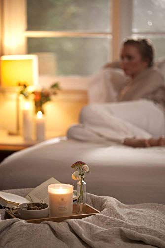 Chesapeake Bay Candle Peace + Tranquility Cashmere Jasmine 2-Pack