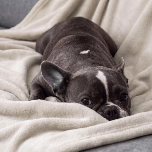 Bedsure GentleSoft Twin XL Fleece Blanket - Linen Beige, 66"x90"