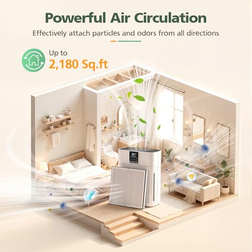 AP2410 Replacement Filter Compatible with DBFIT AP2410 Air Purifi-er, HEPA Air Filter and Activated Carbon Filter for Dust Pets Pollen Smoke, 2 Pack(White)