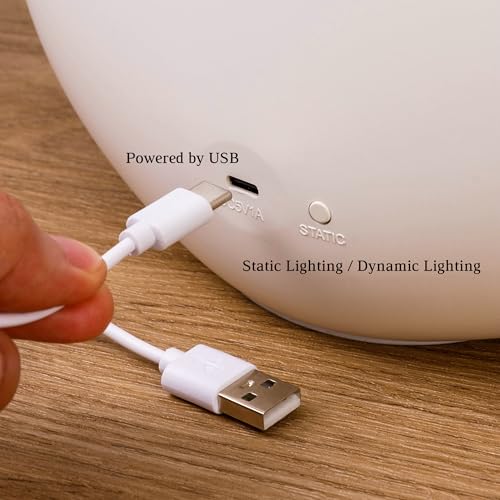 Aurora Light Night Lamp for Wedding Anniversary Valentine Christmas - Dimmable Touch Sensor