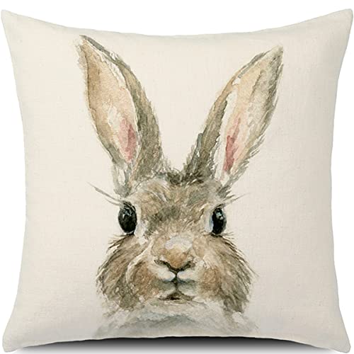 Easter Bunny Throw Pillow Cover 18x18 Inches - Spring Rabbit Design 3