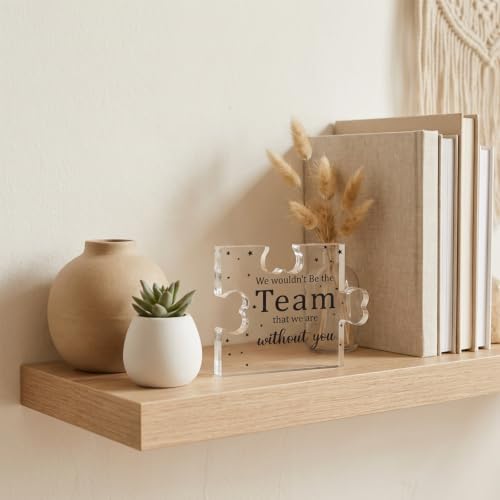 Acrylic Puzzle Plaque - Appreciation Gift for Bosses & Teachers
