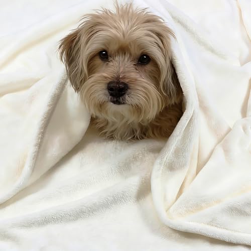 VigorSpring 50x60 Inch Cream White Throw Blanket - Soft Flannel Fleece