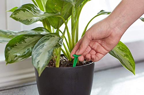 Miracle-Gro Indoor Plant Food Spikes - 48 Count for Houseplants