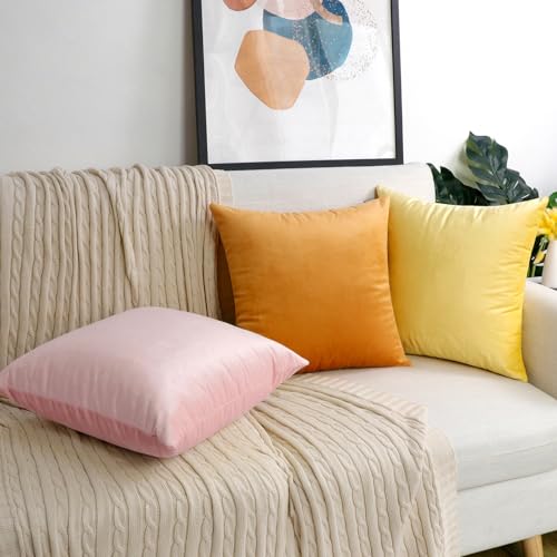 Thmyo 2 Pack White Velvet Decorative Square Pillow Covers 16x16 Inches, No Inserts