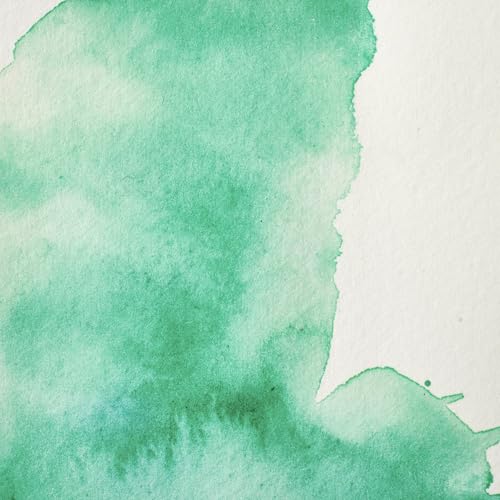 Winsor & Newton Professional Watercolour Paint, 37ml Tube, Viridian Hue