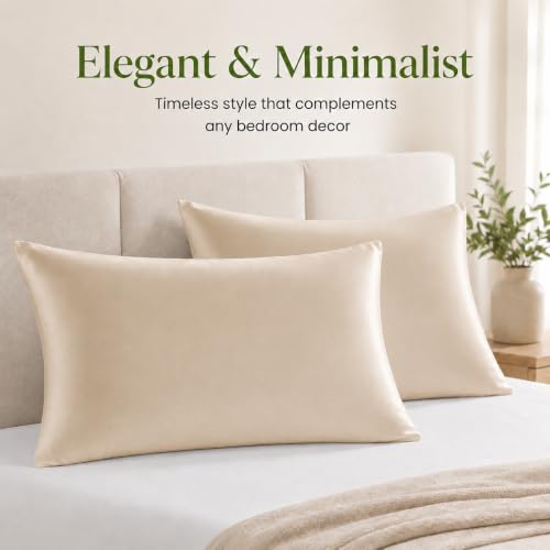 LANYETON Bamboo Viscose Pillowcases Set of 2 - 20 x 26 inches