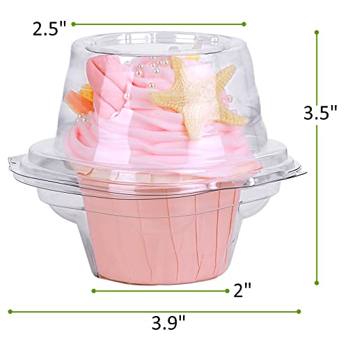 Individual Cupcake Boxes - 50 Pack, 24 Cubic Inches, Round