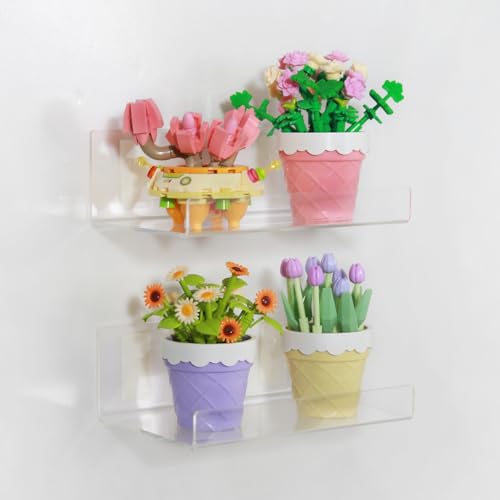 TONICE 2-Pack Wall-Mounted Acrylic Floating Shelves - 6in Storage for Home & Office
