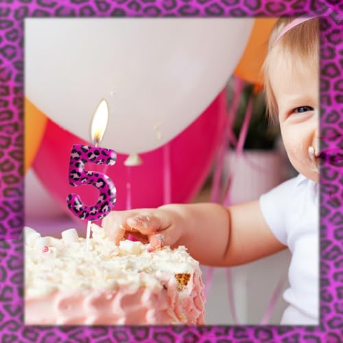 Pink Leopard Number 2 Birthday Candle - Animal Theme Decor