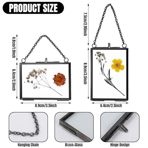 Black 20 Pcs Double Glass Frame for Pressed Flowers & Photos - Versatile Display
