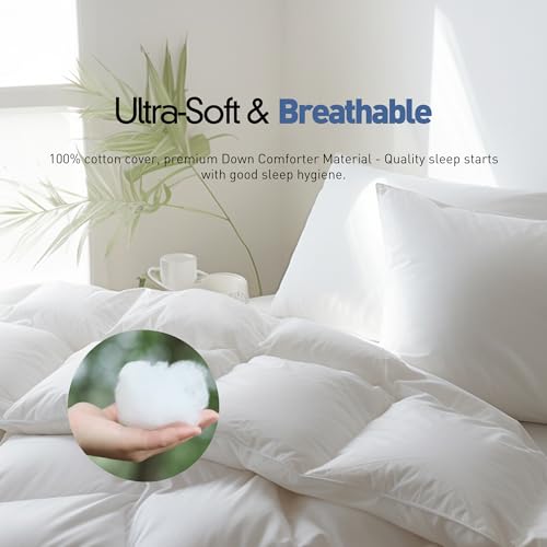 Luxurious Goose Feather Down Fiber Comforter Full Queen Size, Hotel Collection Fluffy 100% Cotton Cover Duvet Insert, 56 oz. Fill Weight, All Season Medium Warmth 90 x 90 Inch White Solid