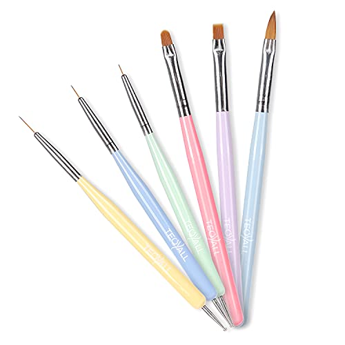TEOYALL 6-Piece Professional Nail Art Brush and Dotting Tool Set