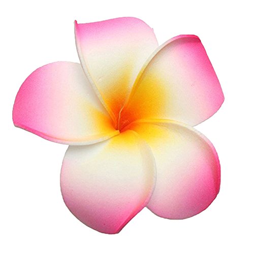 FSSTUD 10 Pcs 7cm Hawaiian Foam Flower Hair Clips Multicolor Beach