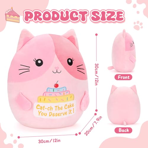 12 Inch Pink Cat Plush Pillow - Cute Stuffed Animal with Motivational Quote