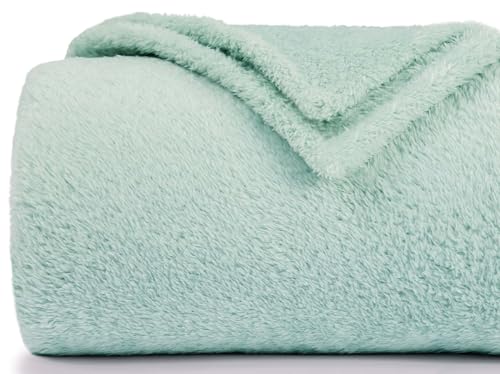 Felesha Fingal Aqua Plush Fleece Throw Blanket 50x60 Inches Cozy Couch Bed