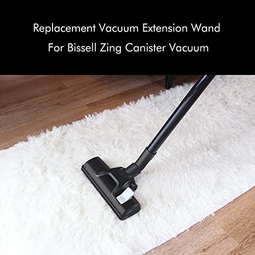 Replacement Vacuum Hose for Bissell Zing Models 2156A, 1665, 16652 - Pack of 2