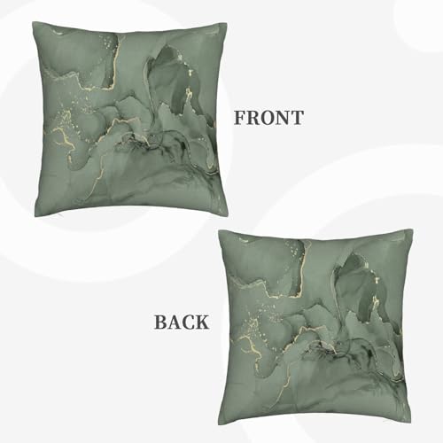 Sage Green and Gold Abstract Throw Pillow Cover, 18x18 Inch Plush Case Zjf16
