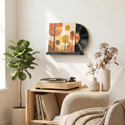Heimlove Wall Mount Vinyl Record Shelf - Solid Wood Display, Black