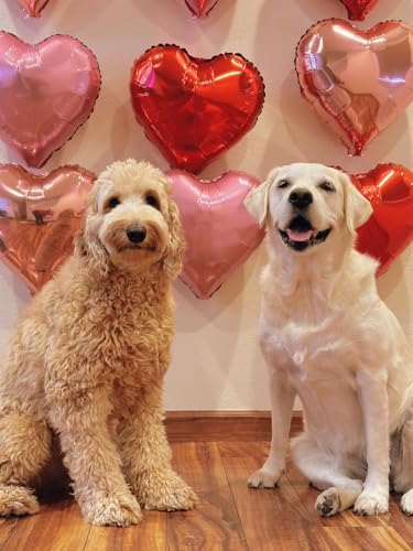 24-Pack 18-Inch Heart Foil Balloons for Valentine's Day Decor