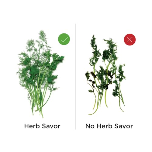 Prepara Mini Herb Saver - Fresh Herb Storage Container for Refrigerator