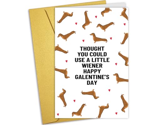 Funny Dachshund Galentine's Day Card for Best Friend, Cute Wiener Dog Greeting Card with Envelope