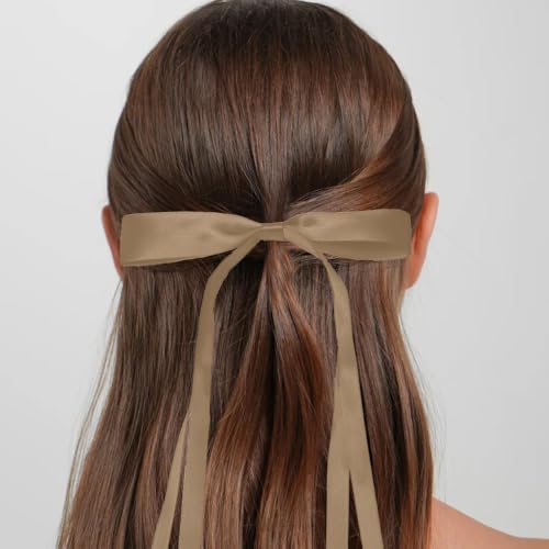 LAOTIDui Satin Hair Bow Clips for Women Large Coquette Hair Ribbon 2Pcs