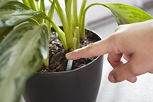 Miracle-Gro Indoor Plant Food Spikes - Slow-Release Fertilizer, 24 Count