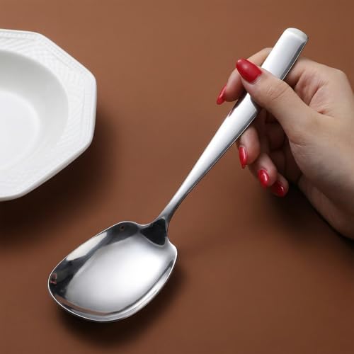 Ezymivs Stainless Steel Serving Spoon 9.5 Inch Heavy-Duty Metal Spoon