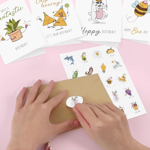 Funny Birthday Cards Bulk Pack - 20 Unique 4x6 Greeting Cards with Envelopes & Stickers