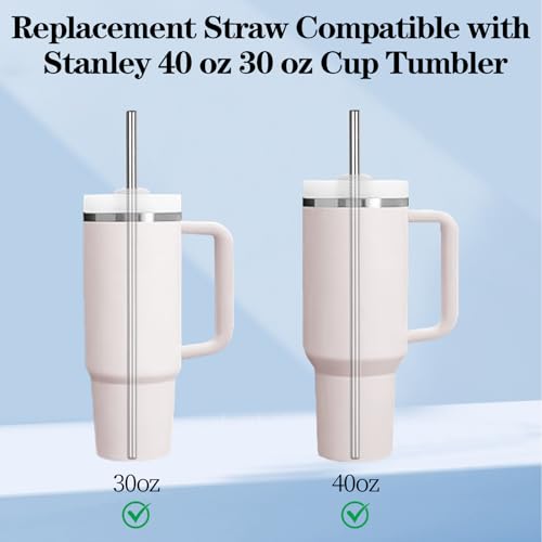 6-Pack Stainless Steel Straws for Stanley 40oz Tumbler, 11.81" Long