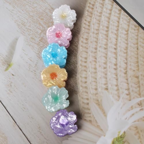 Cuizhiyu Mini Flower Hair Claw Clips Acrylic Beach Hair Accessories 6PK
