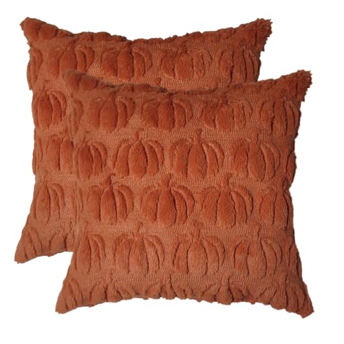 Robvobe Fall Pumpkin Pillow Covers 18x18 Set of 2 Autumn Decor Plush Jacquard