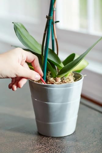 Miracle-Gro Orchid Plant Food Spikes - 10 Fertilizer Sticks for Indoor Orchids