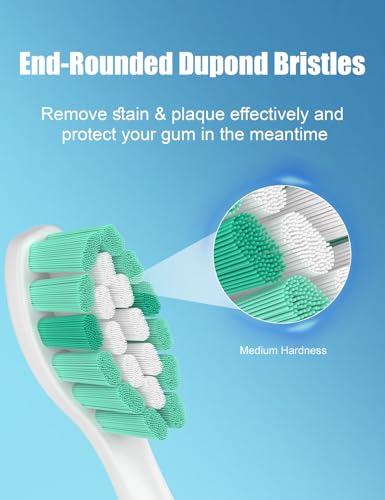 Toothbrush Replacement Heads for Philips Sonicare 10 Pack Refill White
