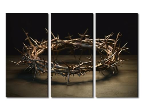 Christian Wall Decor Crown of Thorns Canvas Art 3 Panels - 28x14 Inch Each
