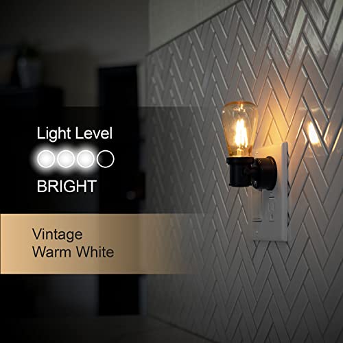 Edison Filament Night Light 2-Pack with Dusk to Dawn Sensor - Black