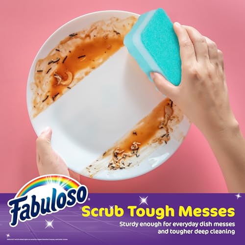 Fabuloso Rainbow Non-Scratch Kitchen Dish Sponges - 12 Pack