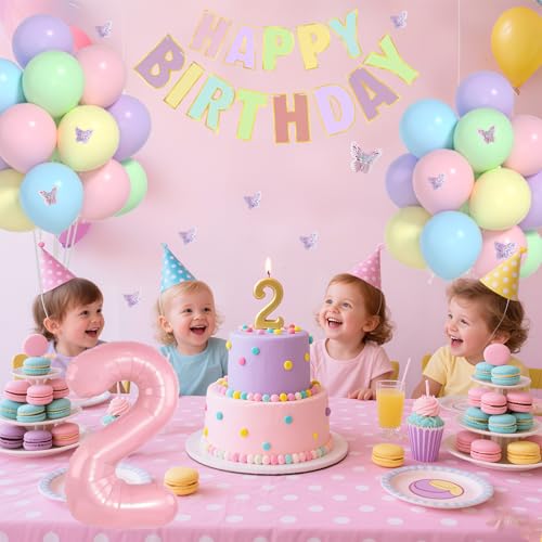 Yumiche 2nd Birthday Decorations for Girl - Pastel 2nd Birthday Party Set with Balloons & Banner (2-pastel / 2nd)