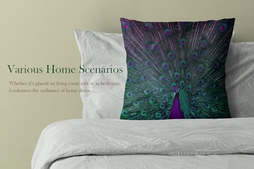 18x18 Inches Purple and Teal Peacock Pillow Cover - Double-Sided Printed Cushion Case, Pack of 1